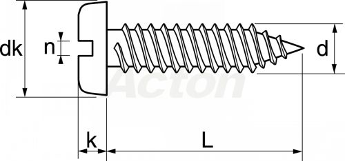 Slotted pan head self tapping screws (Schema)