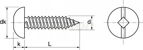 Slotted pan head self tapping screws (Schema)