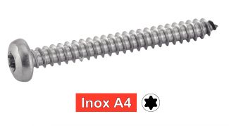 Vis à tôle tête cylindrique large six lobes inox A4 / Six lobe pan head self tapping screws forme C