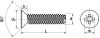 Vis autotaraudeuses tête fraisée pozidrive / Pozidrive countersunk head thread rolling screws