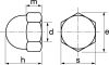 Ecrous borgnes / Hexagon cap nuts